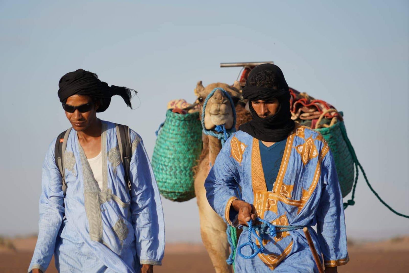 Local guides walking with camels through the Moroccan desert