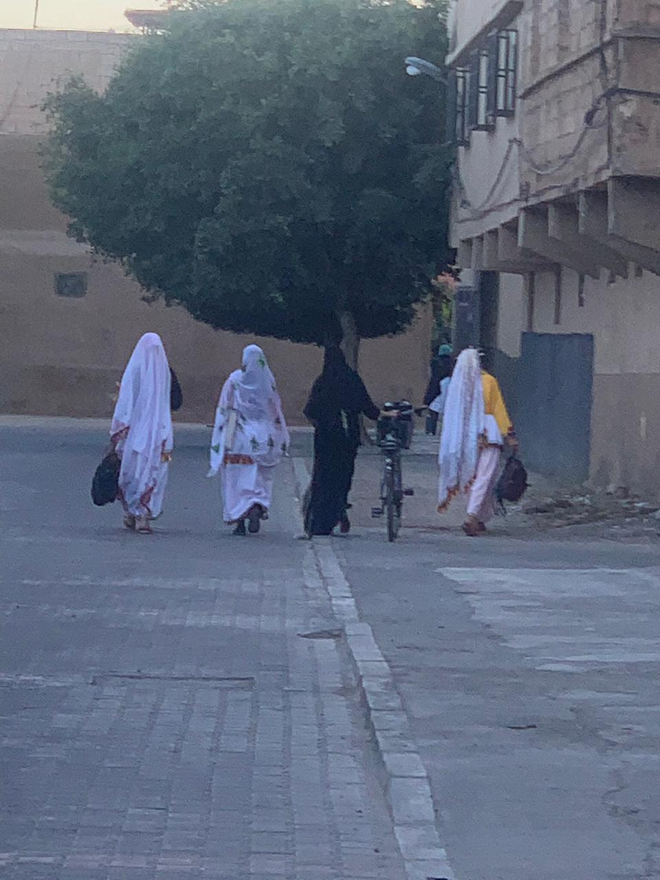 Close-up of a camel with tourists in blue turbans