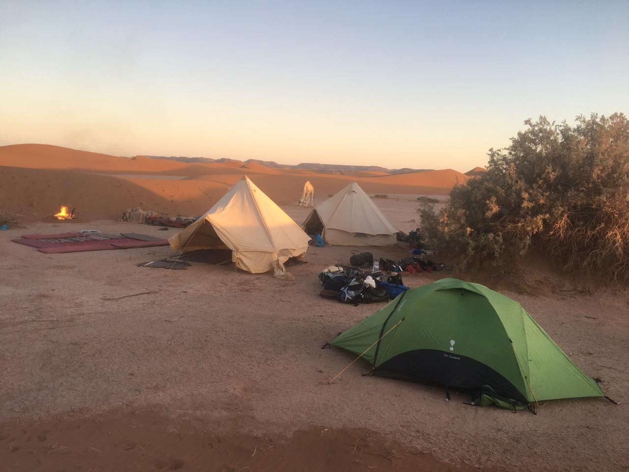 Traditional Moroccan tagine pots